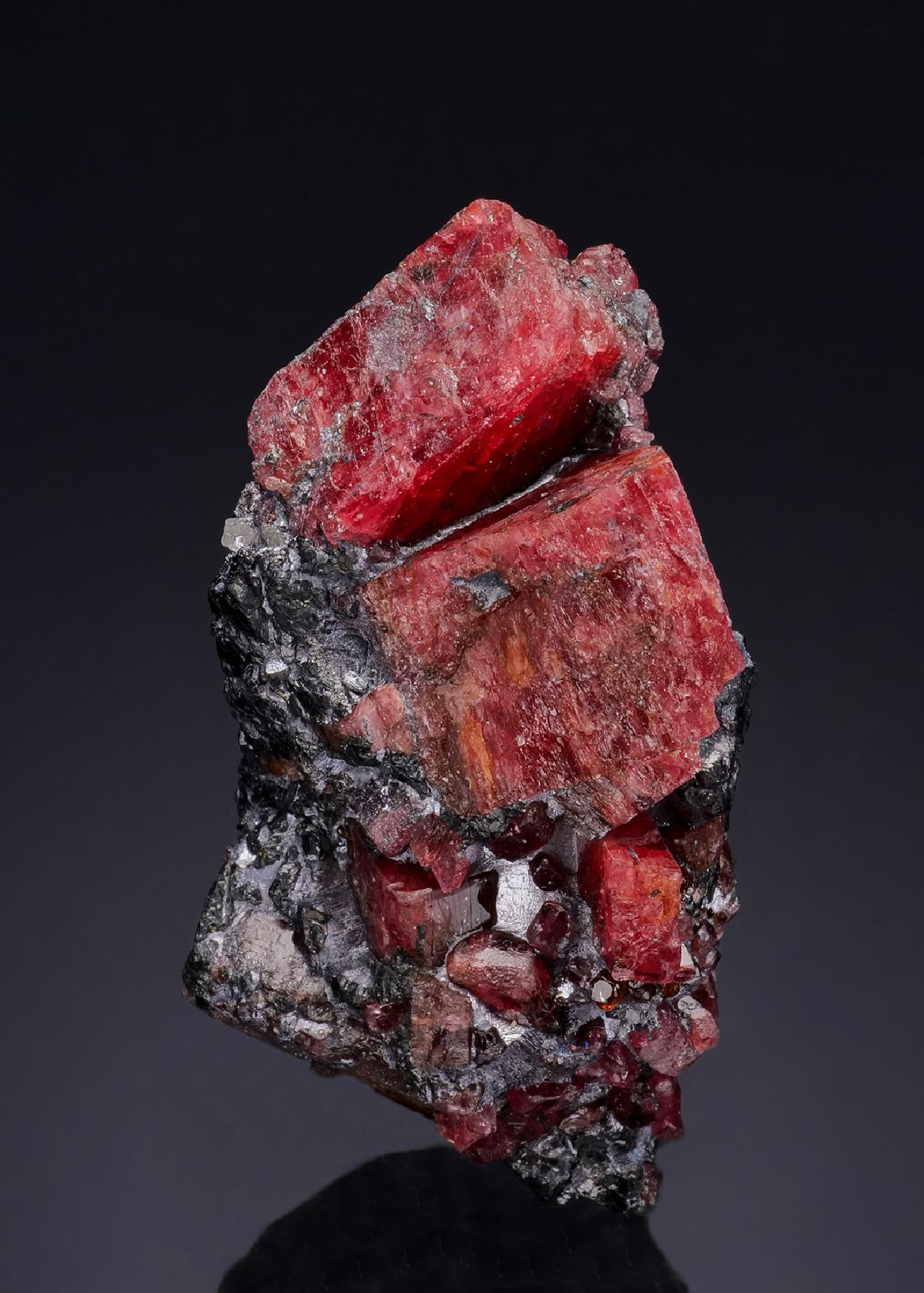 CC52356 specimen image