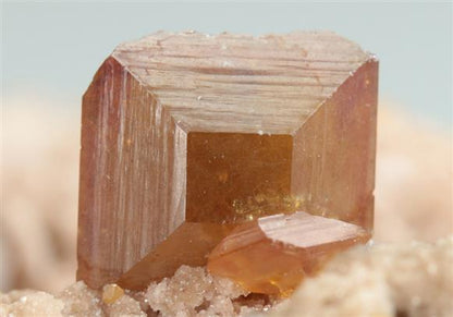 CC5240 specimen image