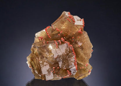 CC52414 specimen image
