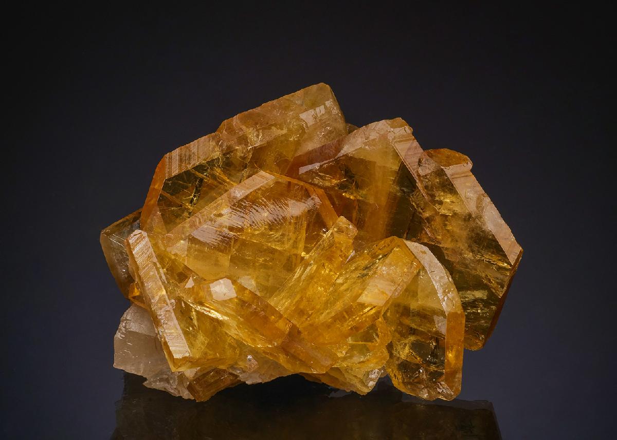 CC52420 specimen image
