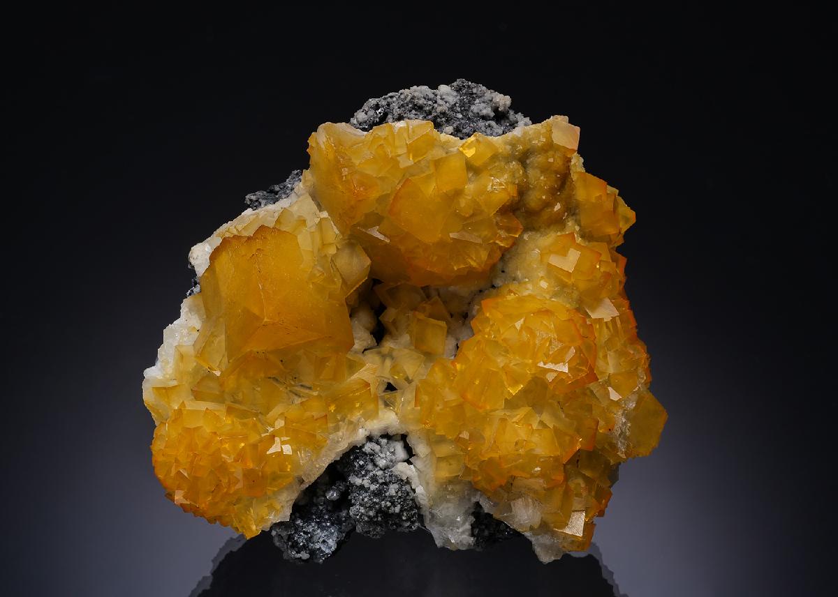 CC52456 specimen image