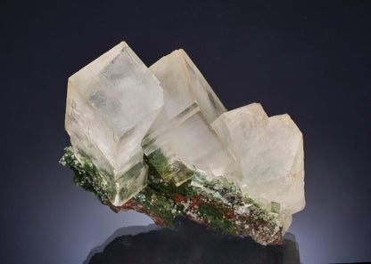 CC52478 specimen image
