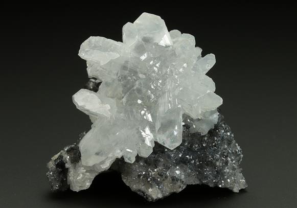 CC5253 specimen image