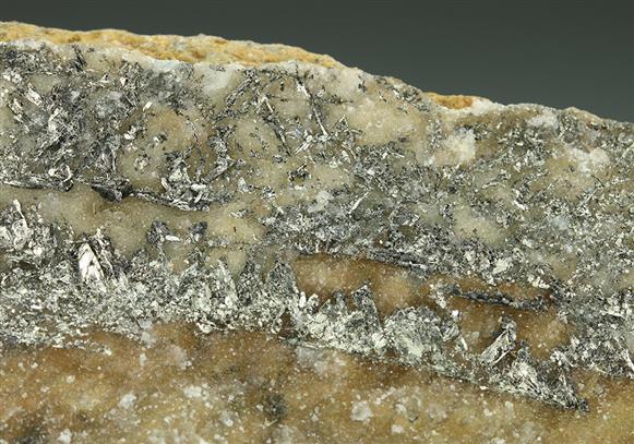CC5254 specimen image