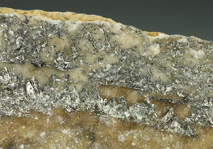 CC5254 specimen image