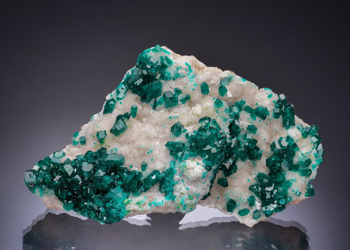 CC52548 specimen image