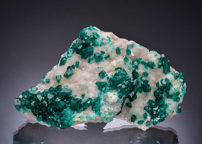 CC52548 specimen image