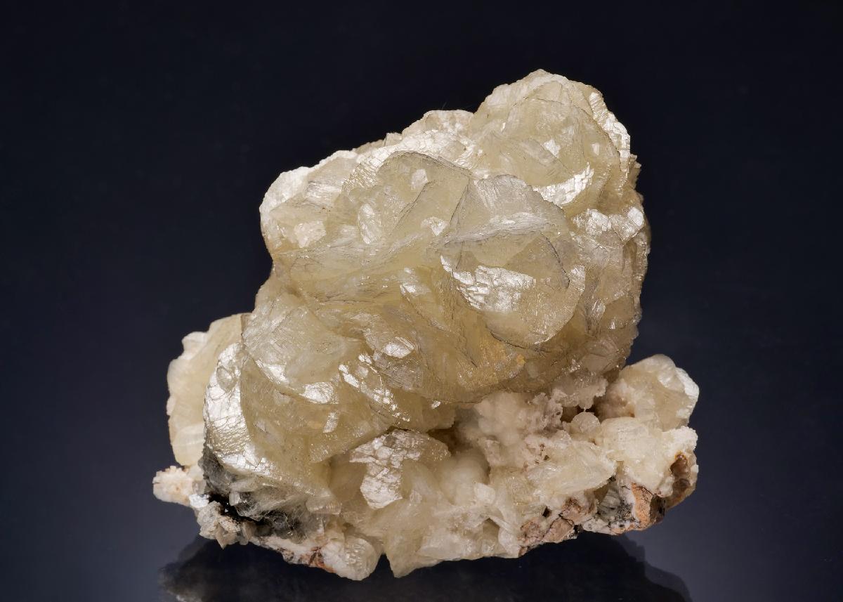 CC52570 specimen image
