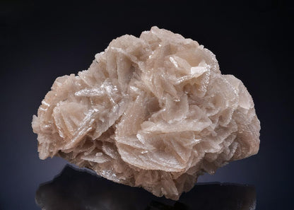 CC52586 specimen image