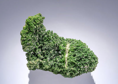 CONICHALCITE ps. after MOTTRAMITE with CALCITE