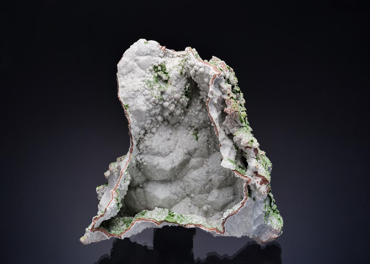 CC52590 specimen image