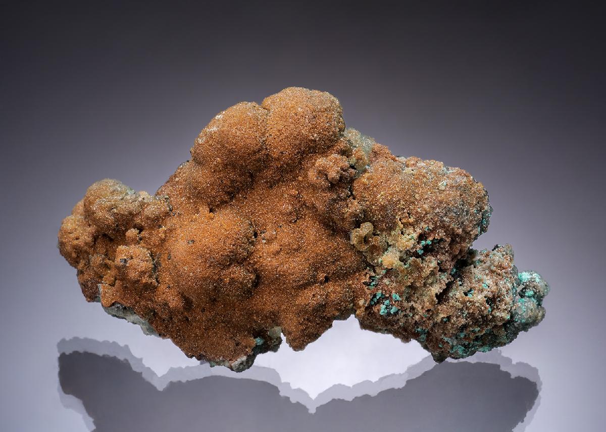 CC52610 specimen image
