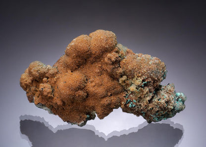 CC52610 specimen image