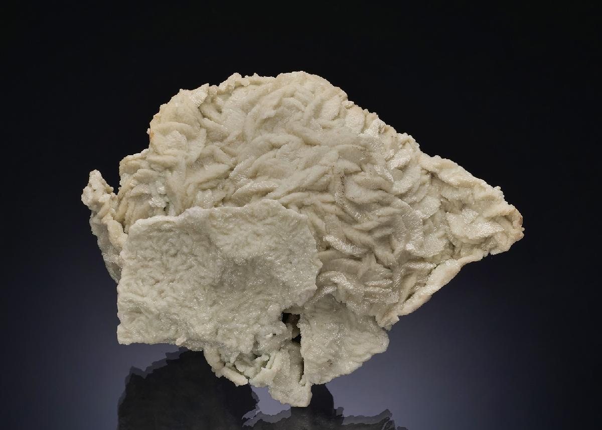 CC52624 specimen image