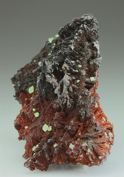 CC5265 specimen image