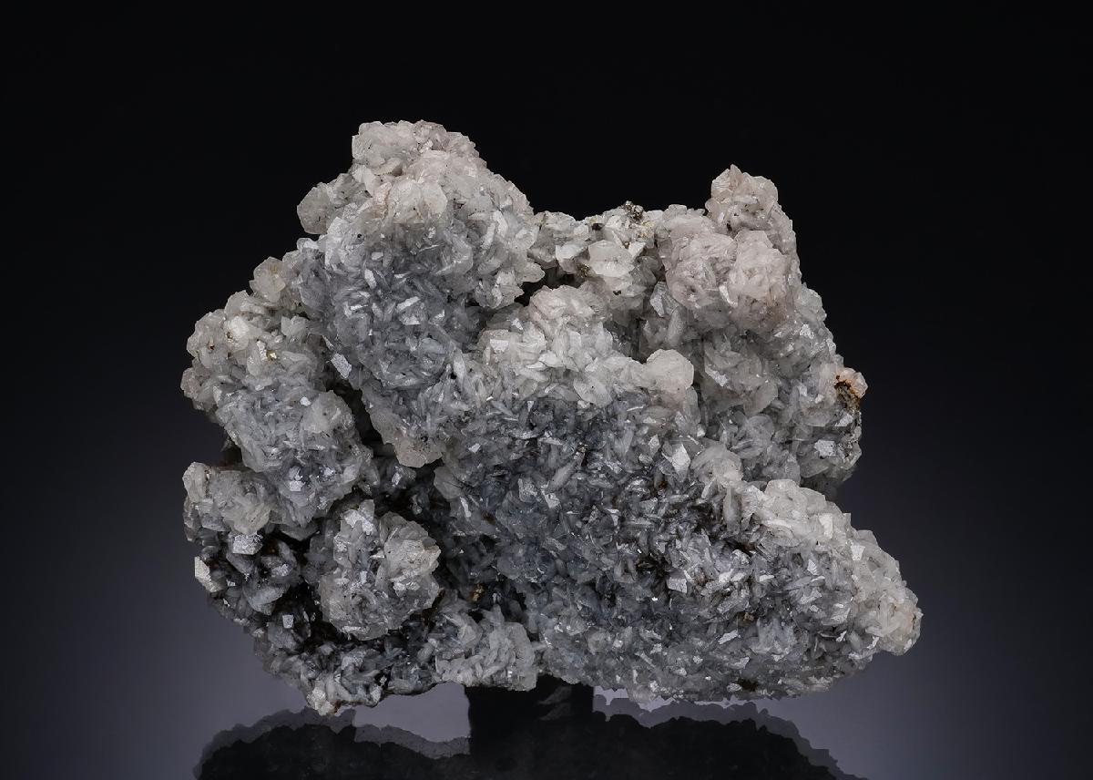 CC52664 specimen image