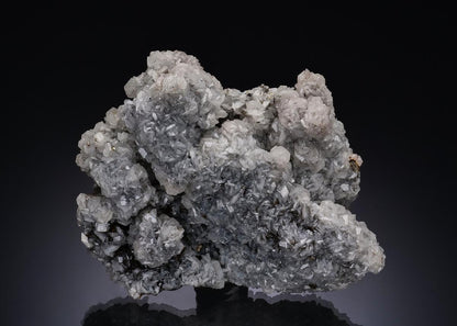 CC52664 specimen image