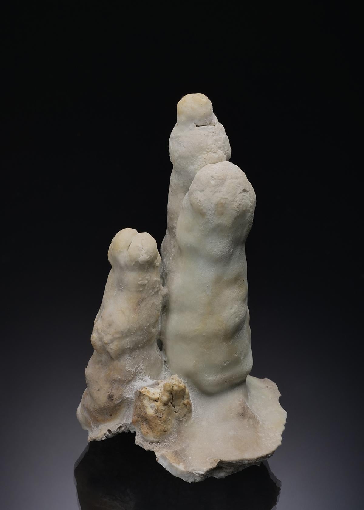 CC52668 specimen image