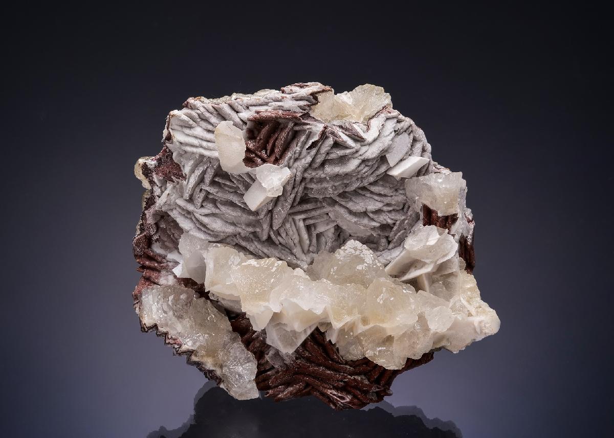 CC52686 specimen image