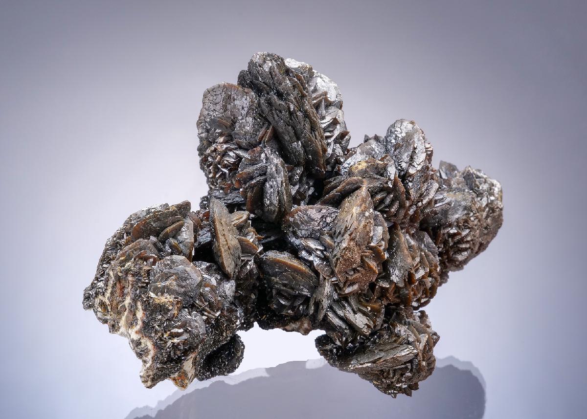 CC52708 specimen image