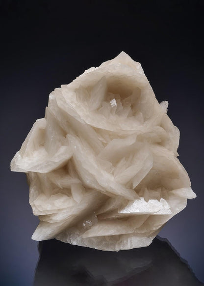 CC52714 specimen image