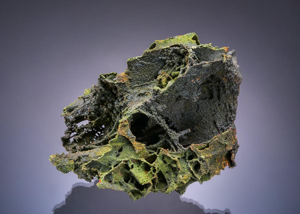 CC52720 specimen image