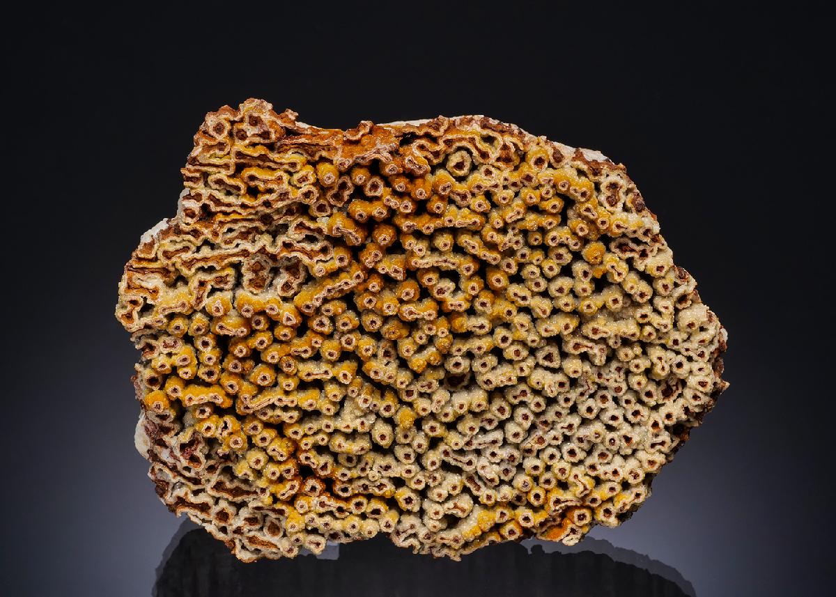 CC52734 specimen image