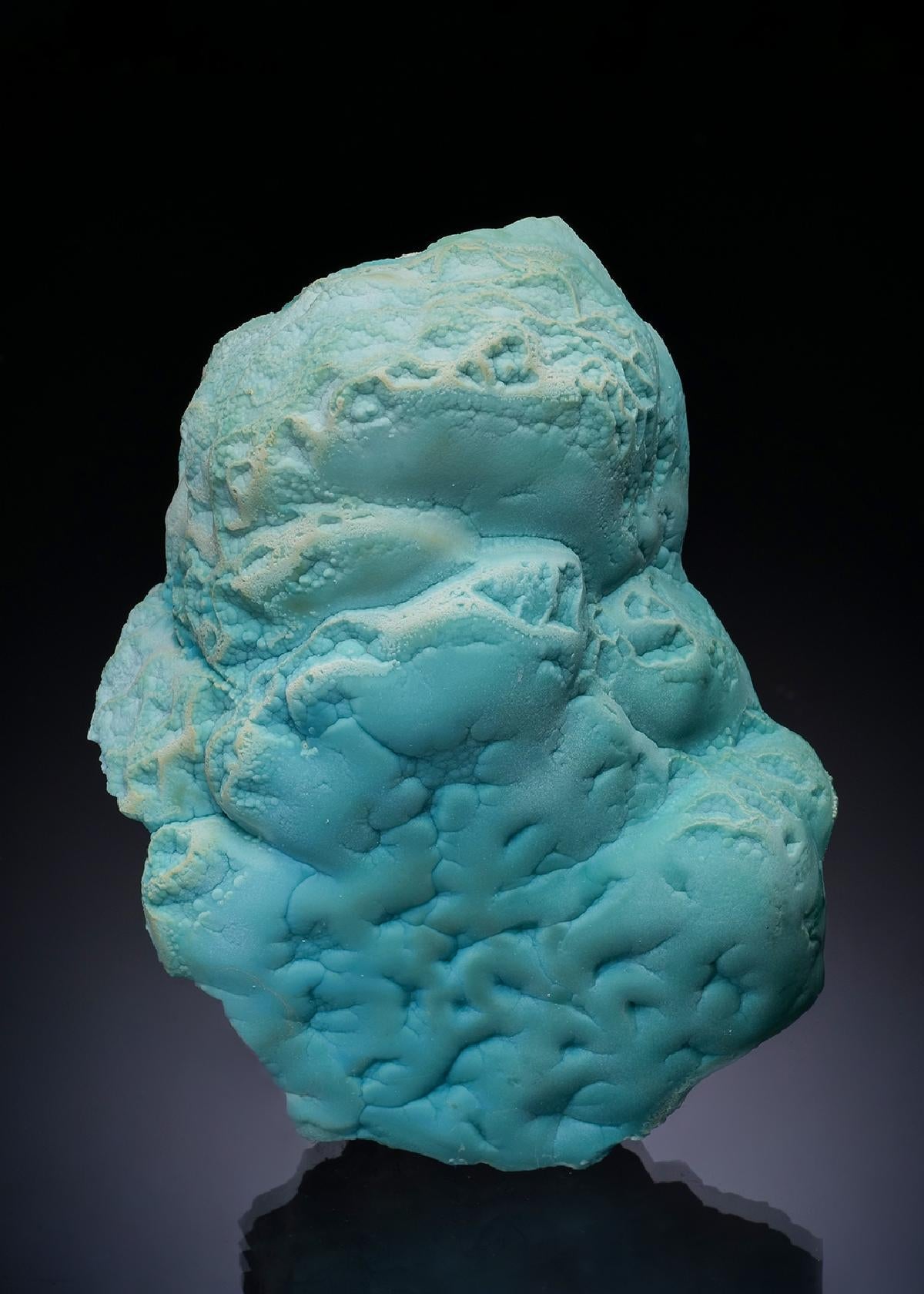 CC52768 specimen image