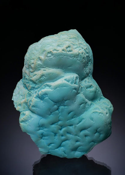 CC52768 specimen image