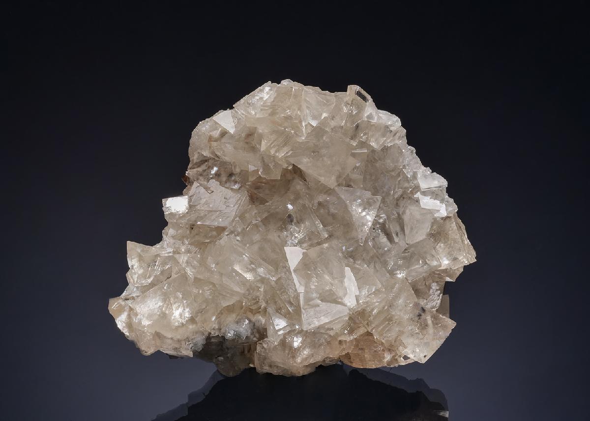 CC52790 specimen image
