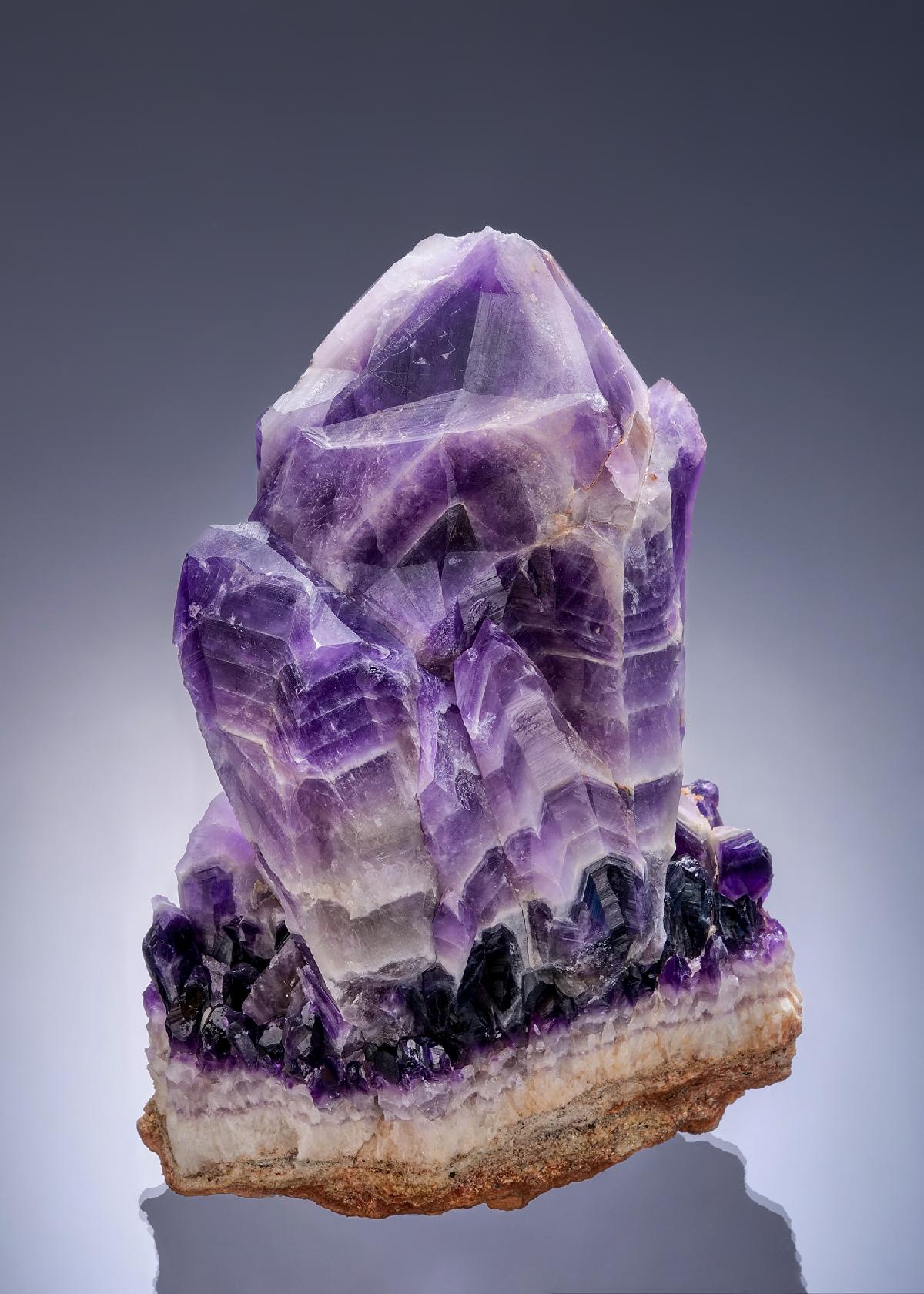 CC52830 specimen image