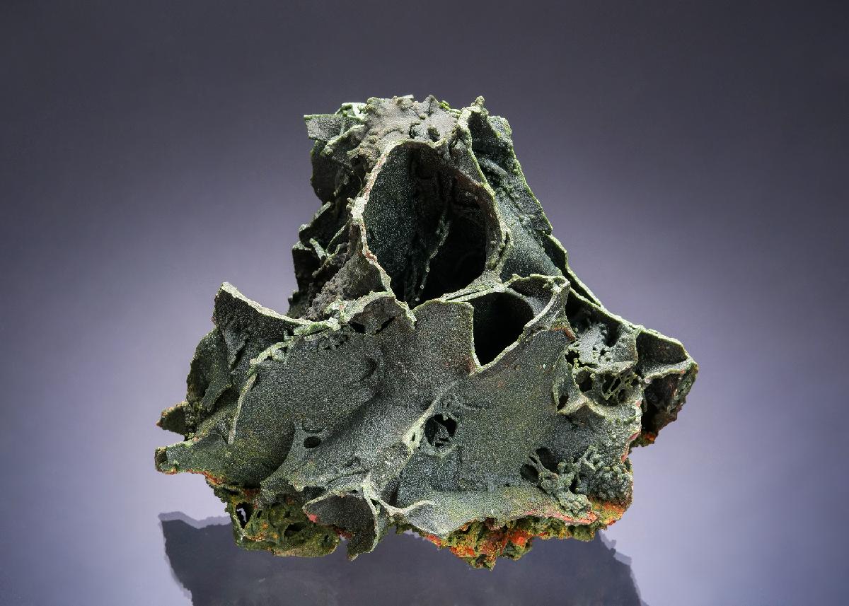 CC52834 specimen image