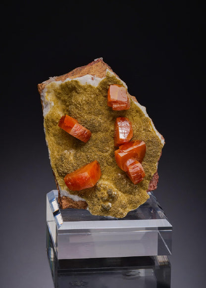CC52874 specimen image