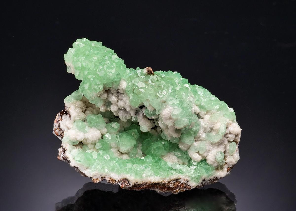 CC52954 specimen image