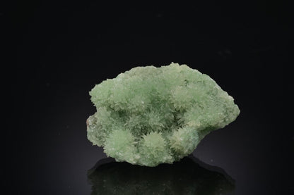 CC52958 specimen image