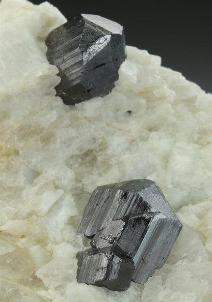 CC5297 specimen image