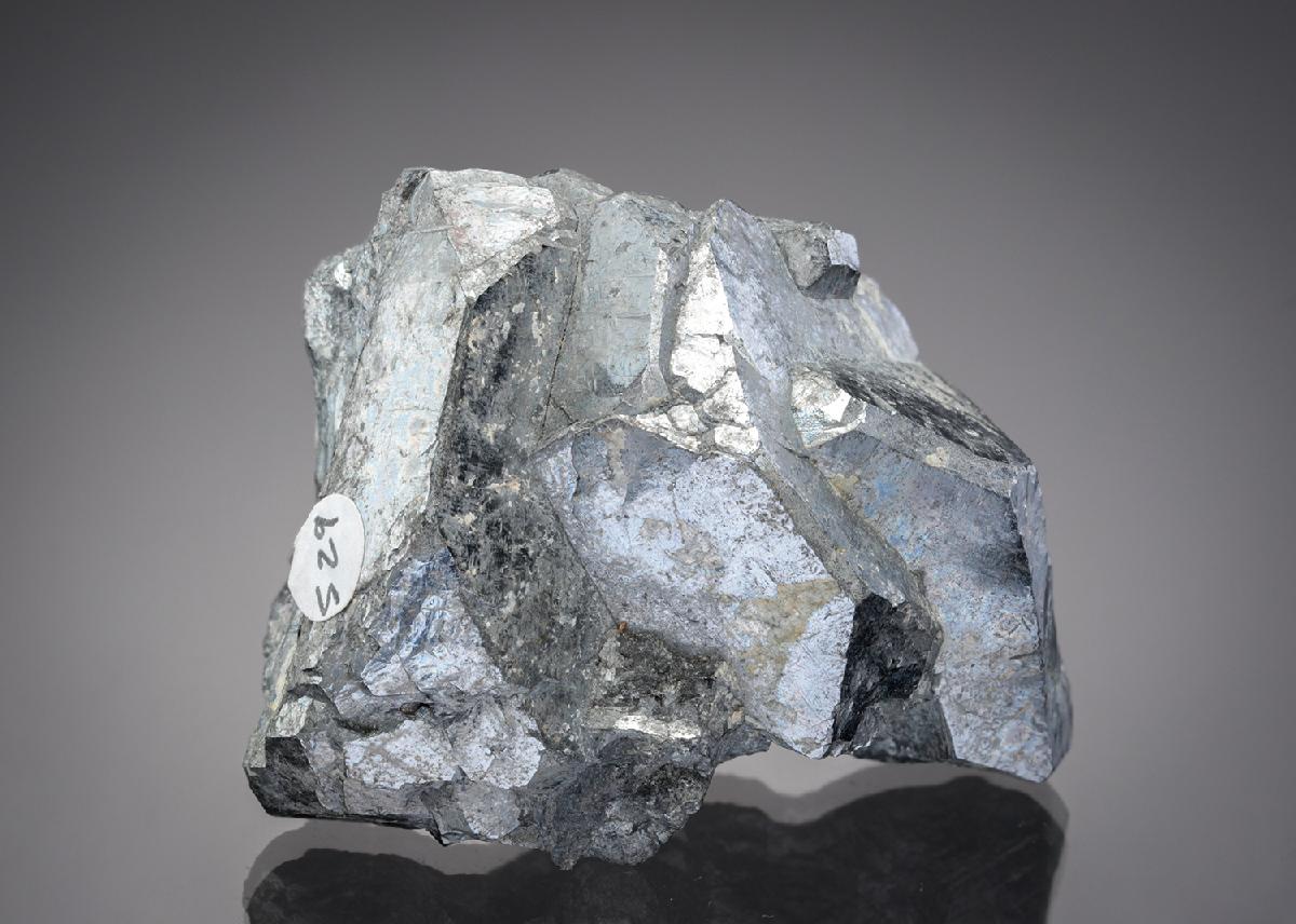 CC529 specimen image