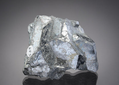 CC529 specimen image