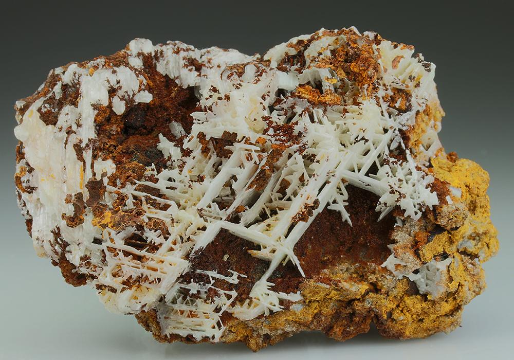 CC5300 specimen image