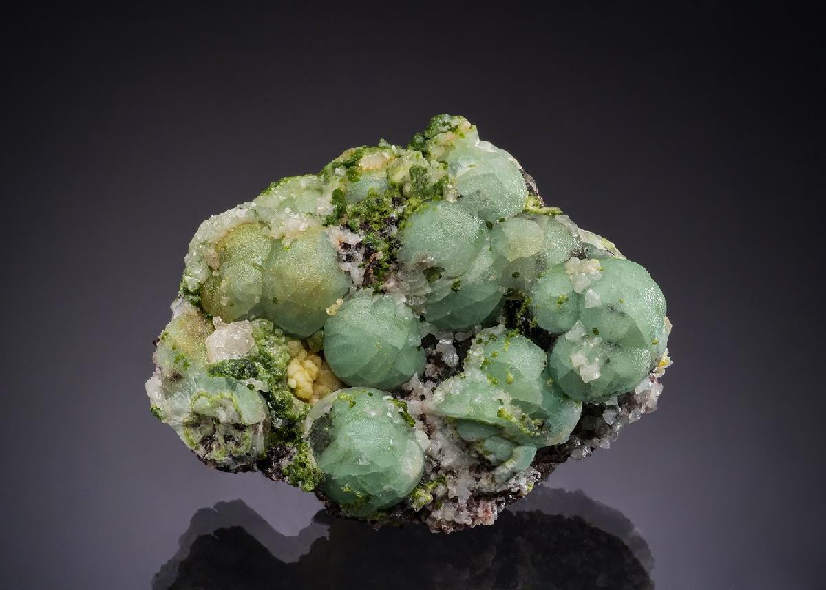 CC53012 specimen image