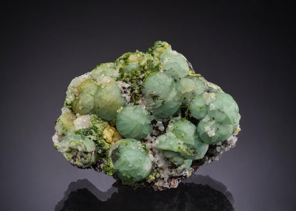 CC53012 specimen image