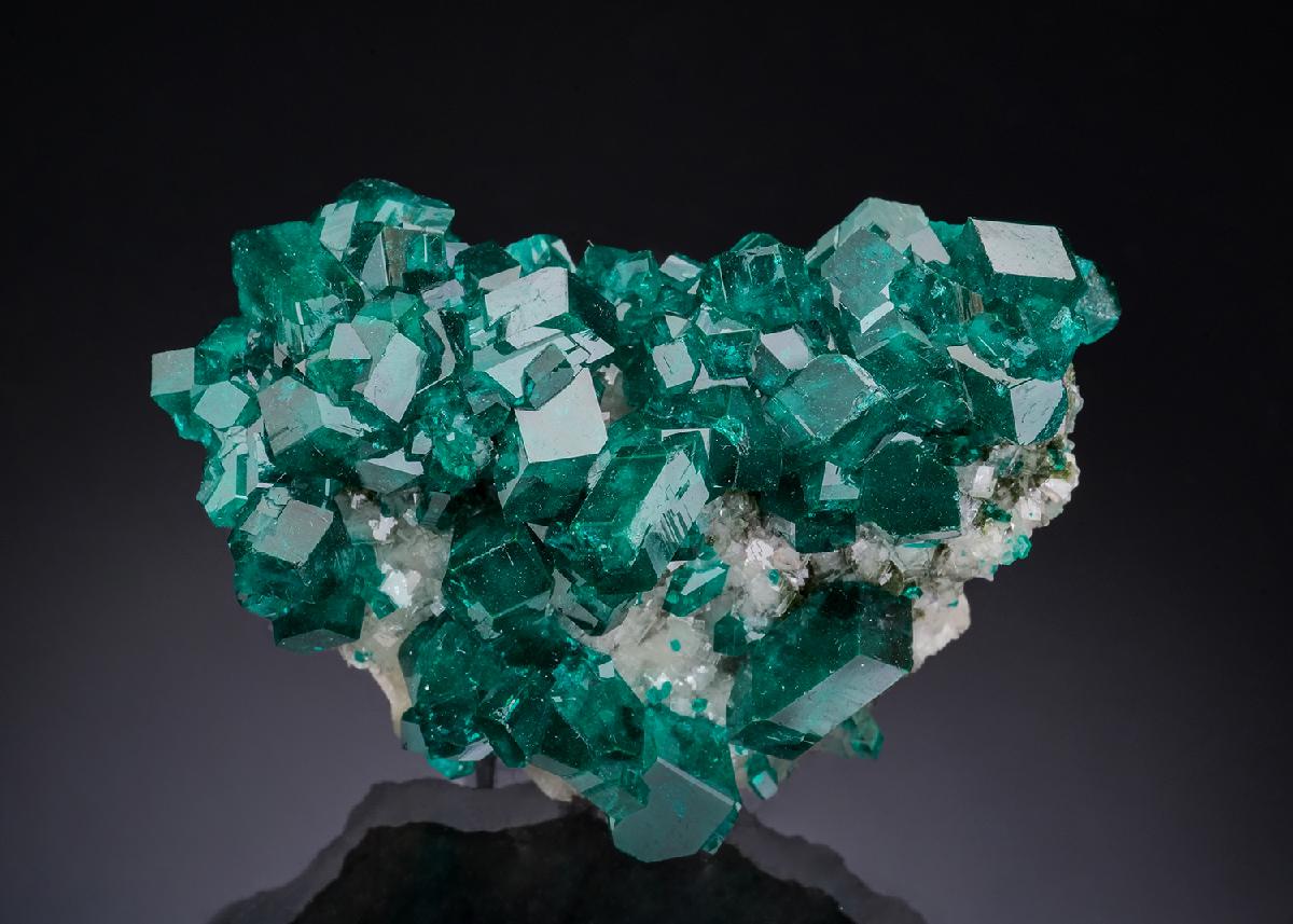 CC53082 specimen image