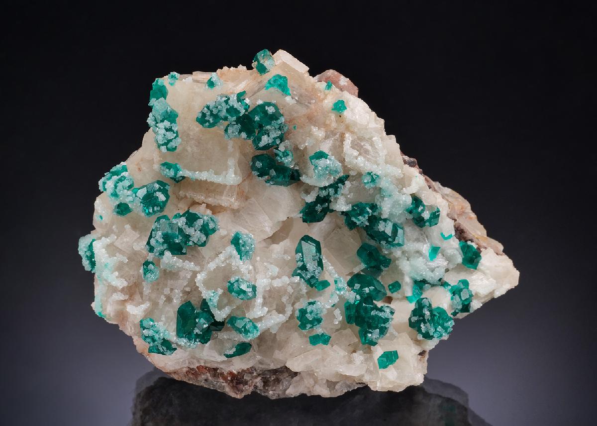 CC53094 specimen image