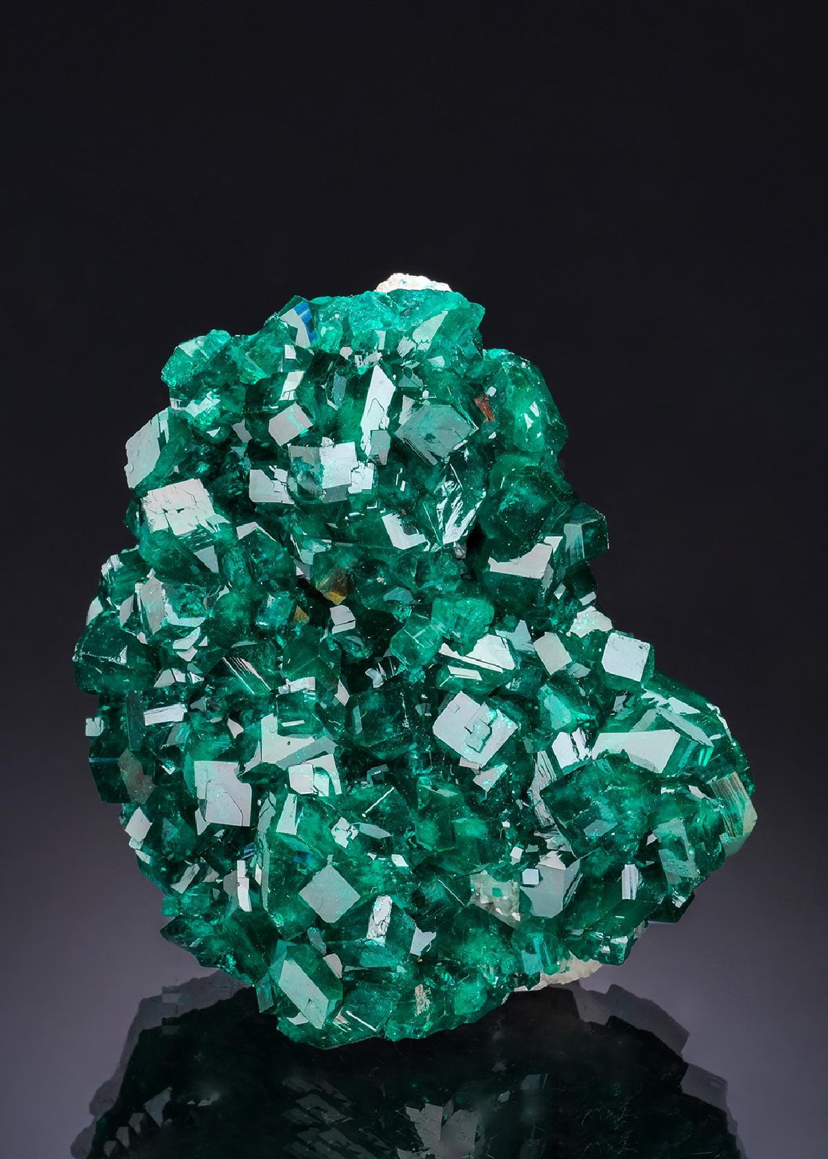 CC53102 specimen image