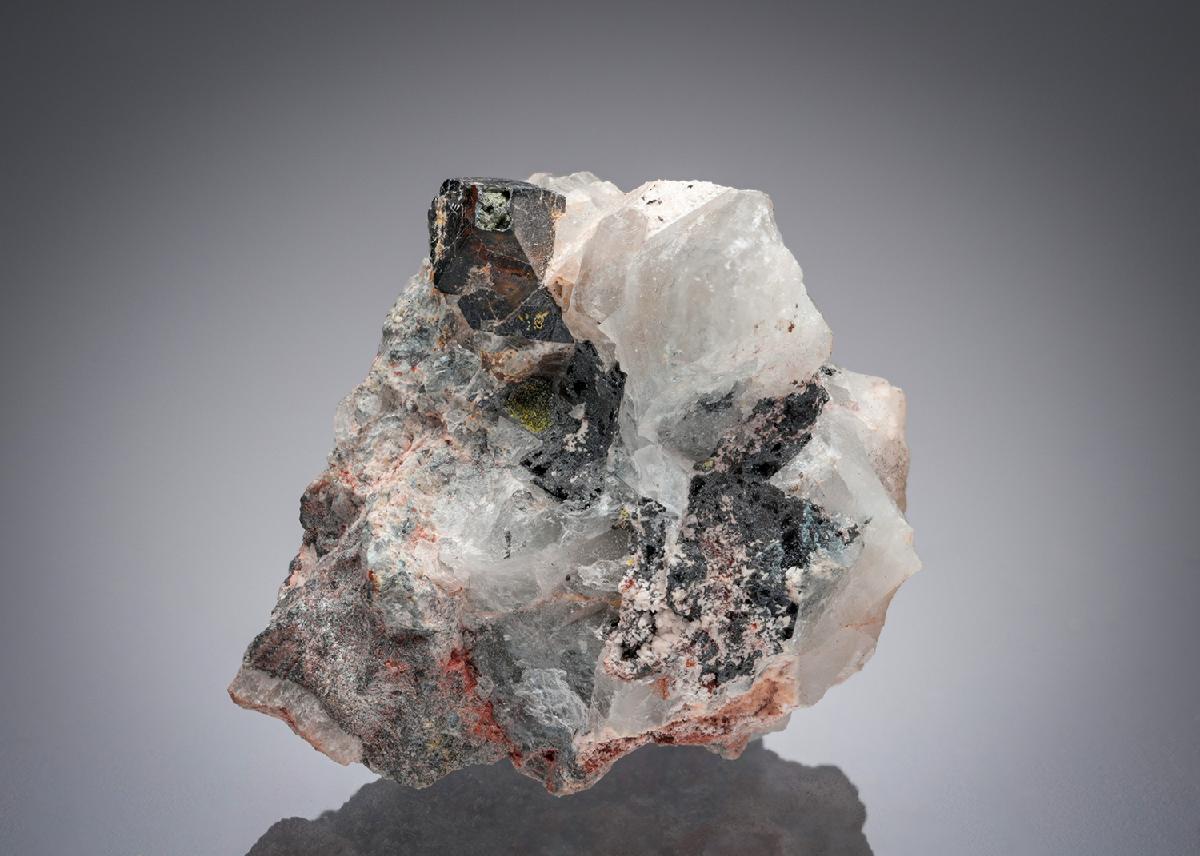 CC5312 specimen image