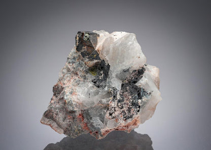 CC5312 specimen image