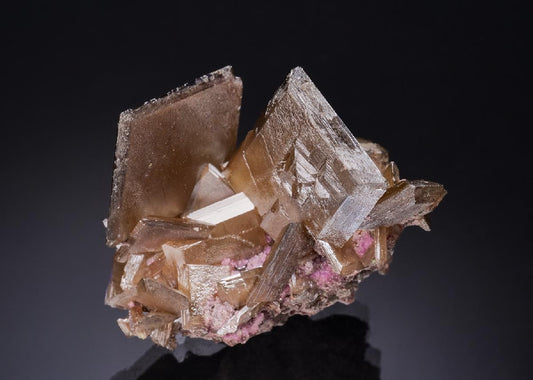 CC53126 specimen image
