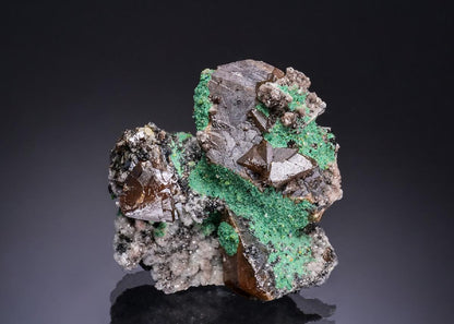 CC53132 specimen image