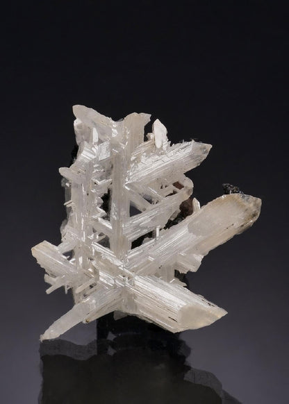 CC53210 specimen image