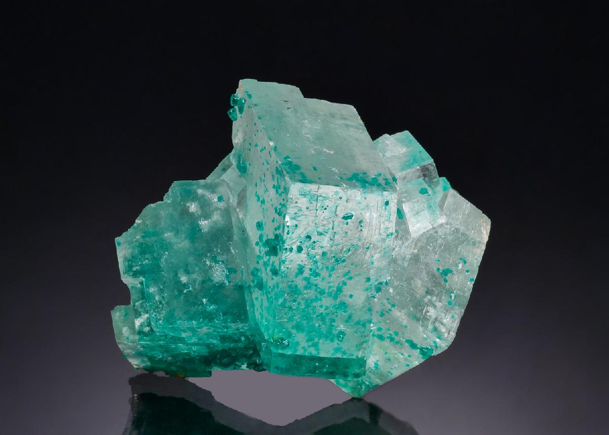 CC53216 specimen image
